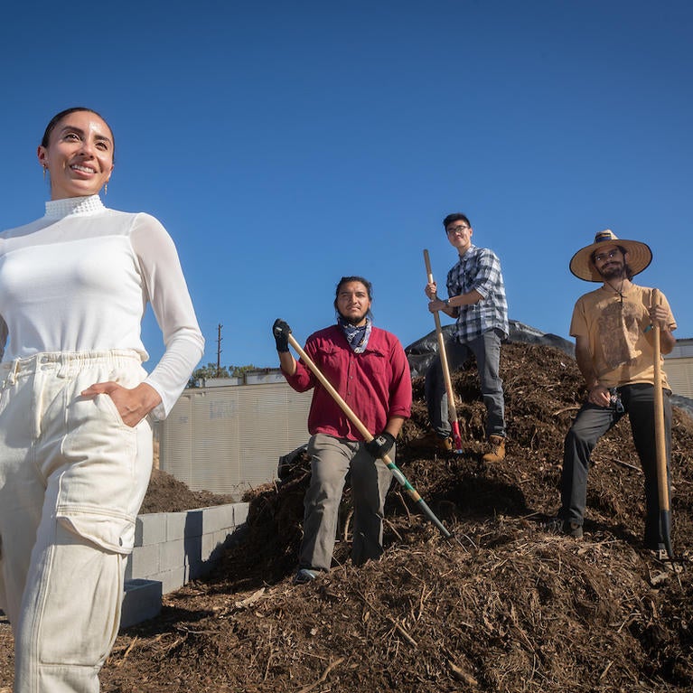 compost pile
